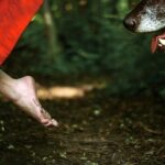 Las crónicas de Erika – Parte 2